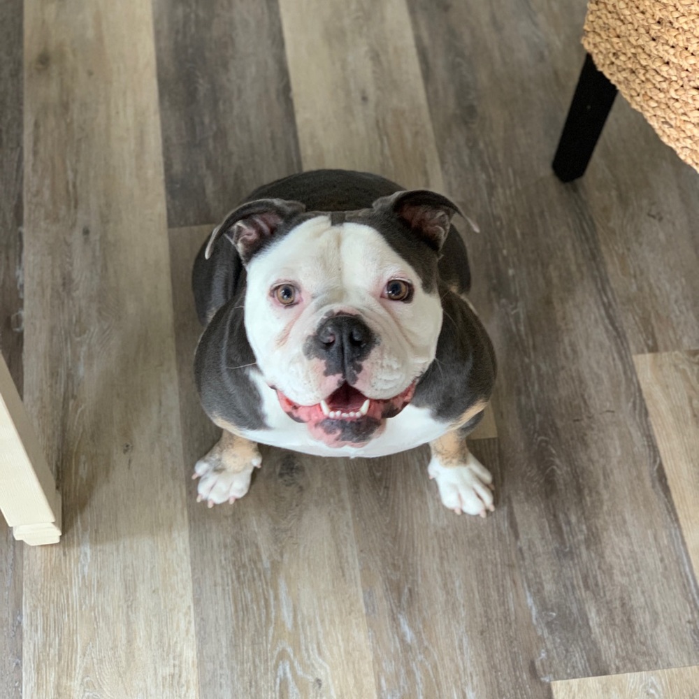 Meet your Posher, Roseanna